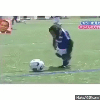 Everybody loves soccer- even a chimp